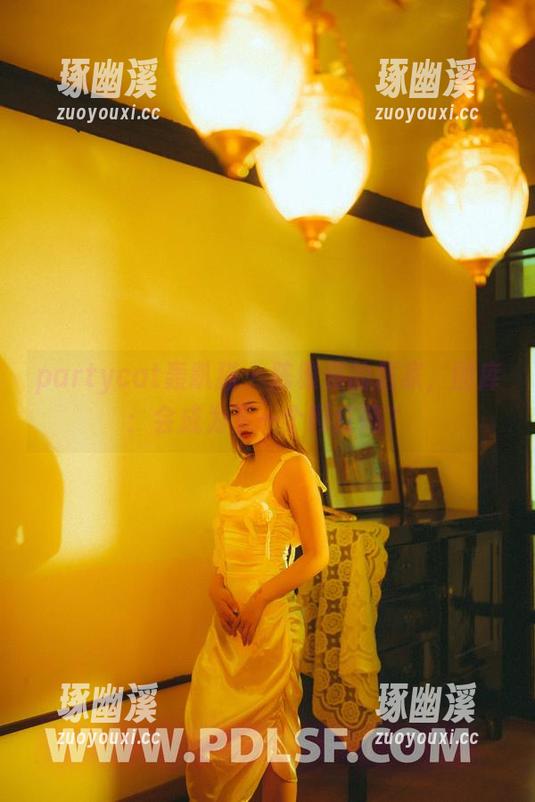 partycat轰趴猫 - 陈雅漫的居家，图库：会成为下一个网红吗？