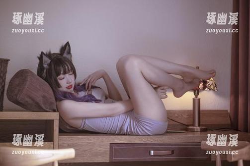 刺青Poi的秘书大作战：这可是精密的资源调配哦！